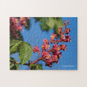 Pink Horse Chestnut Blossoms Jigsaw Puzzle