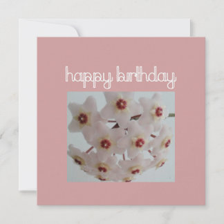 Pink Hoya Flower Birthday Card