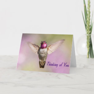 Pink Hummingbird Thinking of You Card