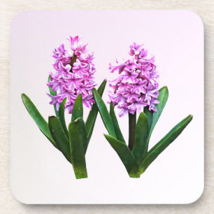 Pink Hyacinth Duo Coaster