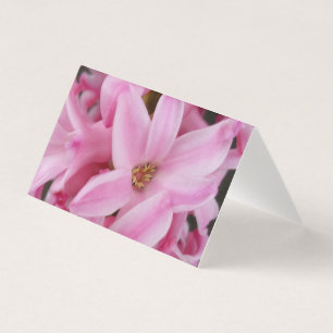 pink hyacinth flower