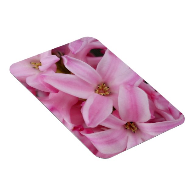 pink hyacinth flower magnet (Right Side)