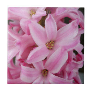 pink hyacinth flower tile
