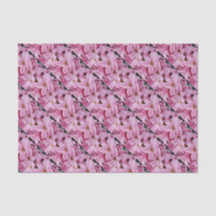 pink hyacinth flower tissue paper