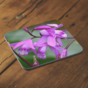 Pink Hyacinth Orchids Floral Coaster
