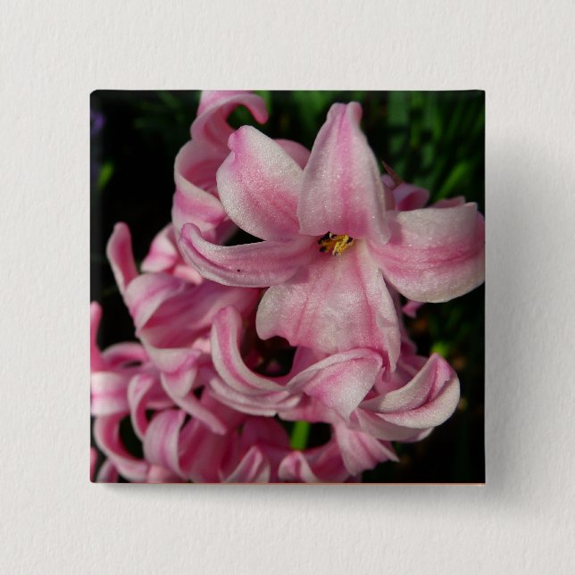 Pink Hyacinth Spring Floral 15 Cm Square Badge (Front)