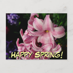 Pink Hyacinth Spring Floral Postcard