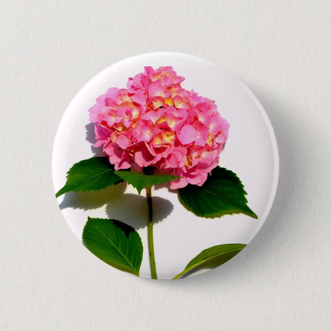 Pink Hydrangea 6 Cm Round Badge (Front)