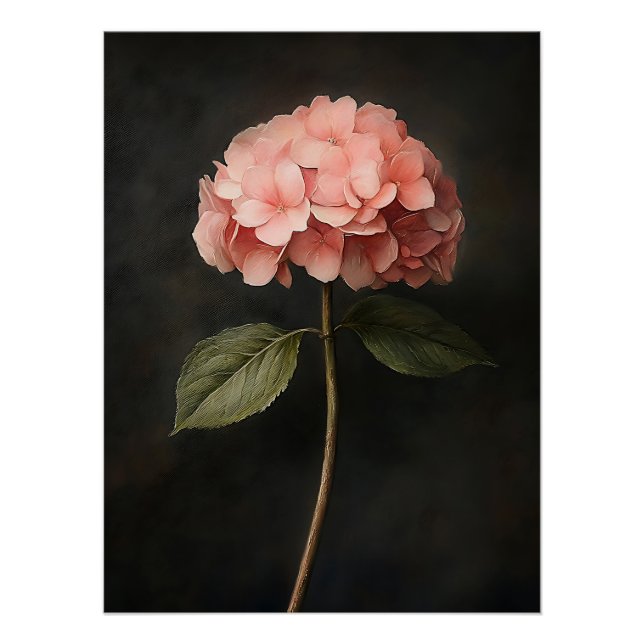 Pink Hydrangea Botanical Painting Poster (Front)