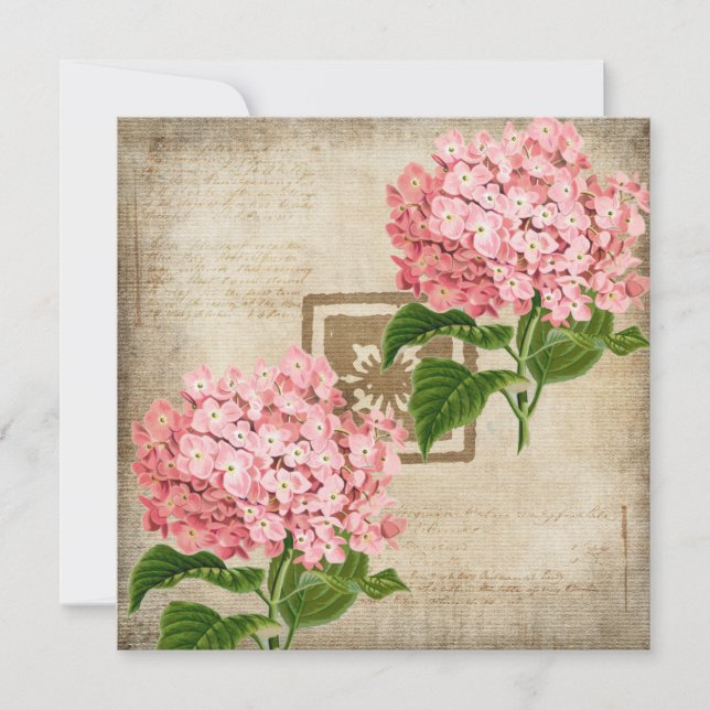 Pink Hydrangea Clusters Flat Greeting Card (Front)