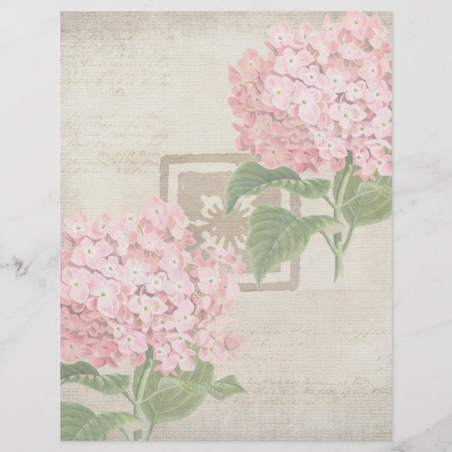 Pink Hydrangea Clusters II Custom Letterhead (Front)