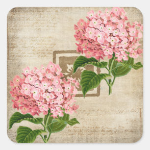 Pink Hydrangea Clusters II Square Sticker