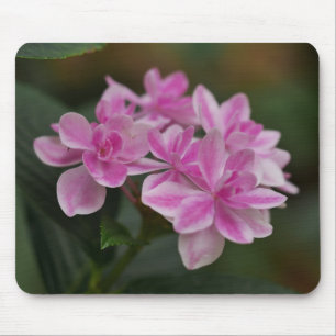 Pink Hydrangea Flower Mousepad