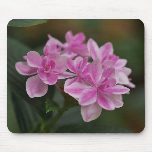 Pink Hydrangea Flower Mousepad (Front)