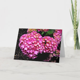 Pink hydrangea flowers holiday card