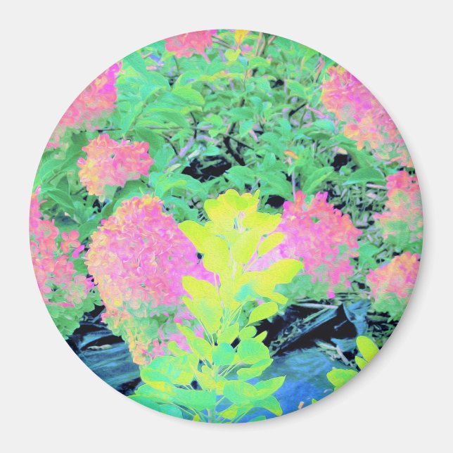 Pink Hydrangea Garden with Yellow Foliage Magnet (Front)