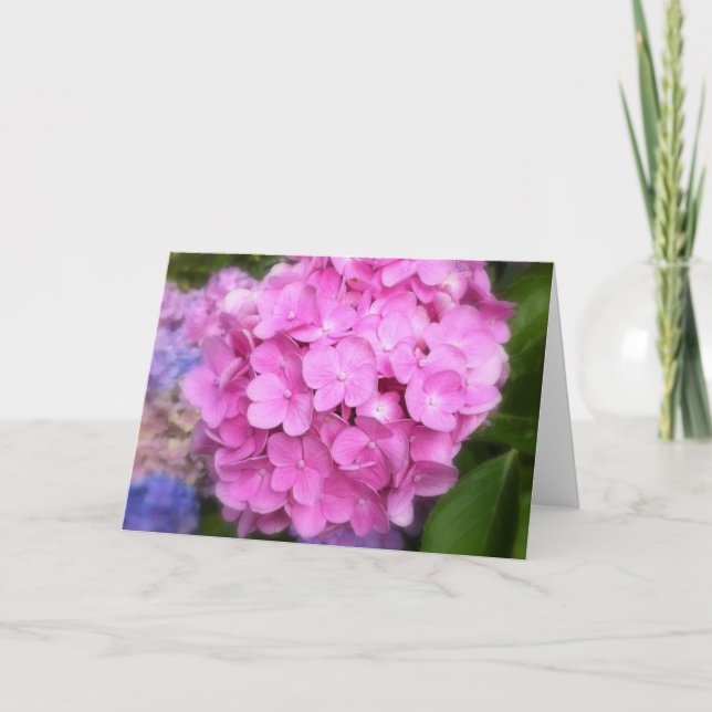 Pink Hydrangea Greeting Card (Front)