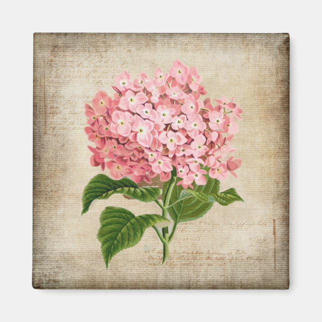 Pink Hydrangea Magnet (Front)