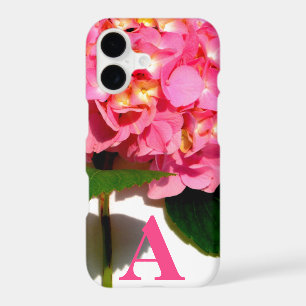 Pink Hydrangea pink floral pink flower