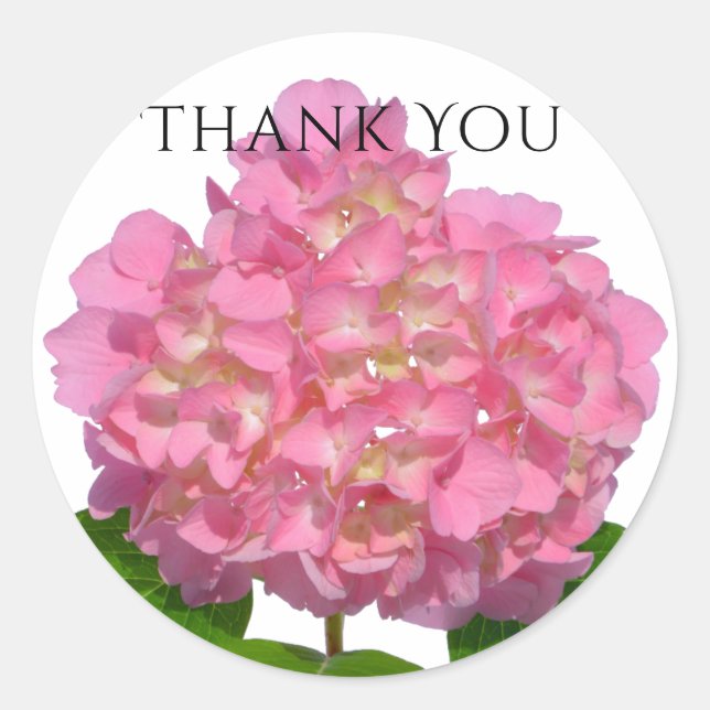 Pink hydrangea pink floral pink flower classic round sticker (Front)