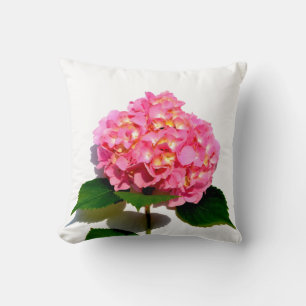 Pink Hydrangea pink floral pink flower Cushion