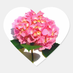 Pink Hydrangea pink floral pink flower Heart Sticker