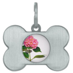 Pink hydrangea pink floral pink flower pet name tag