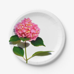 Pink Hydrangea pink flower pink floral Paper Plate