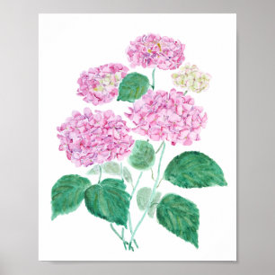 pink hydrangea  poster