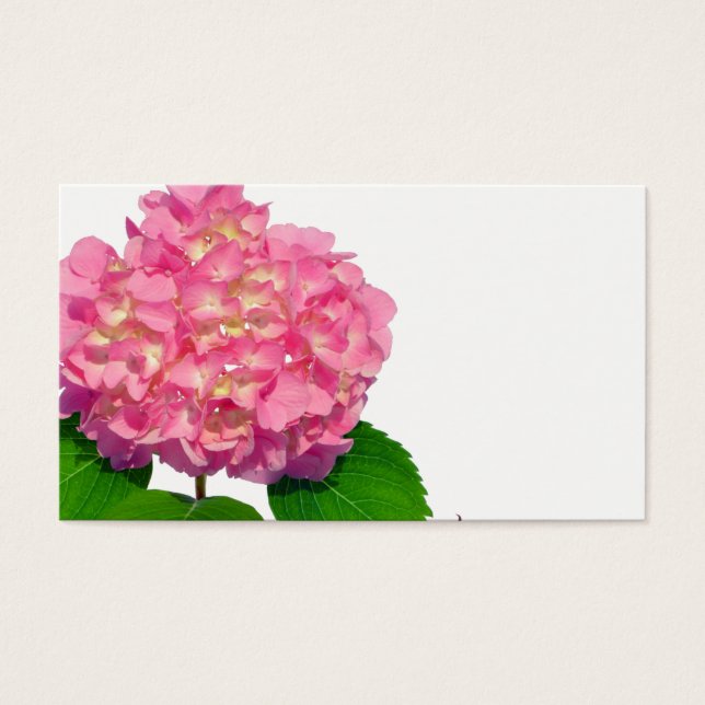 Pink Hydrangea, romantic country floral (Front)