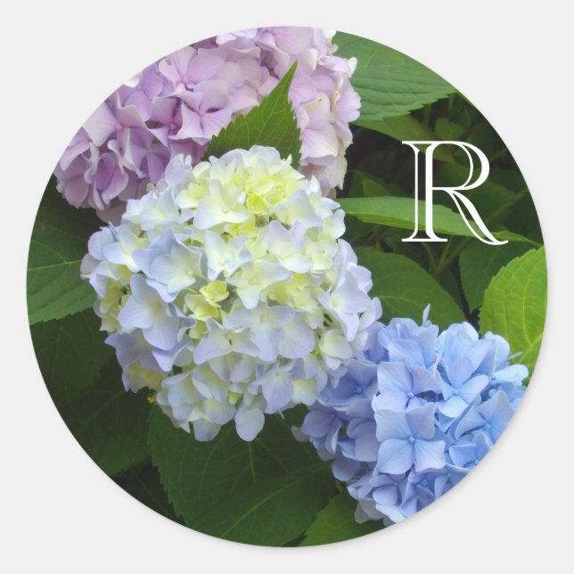 Pink Hydrangeas, blue hydrangeas, green hydrangeas Classic Round Sticker (Front)