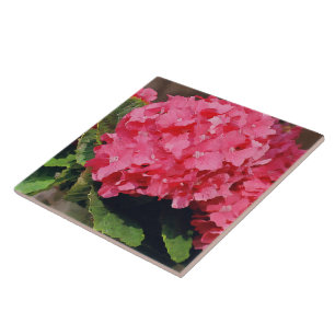 Pink Hydrangeas Ceramic Tile