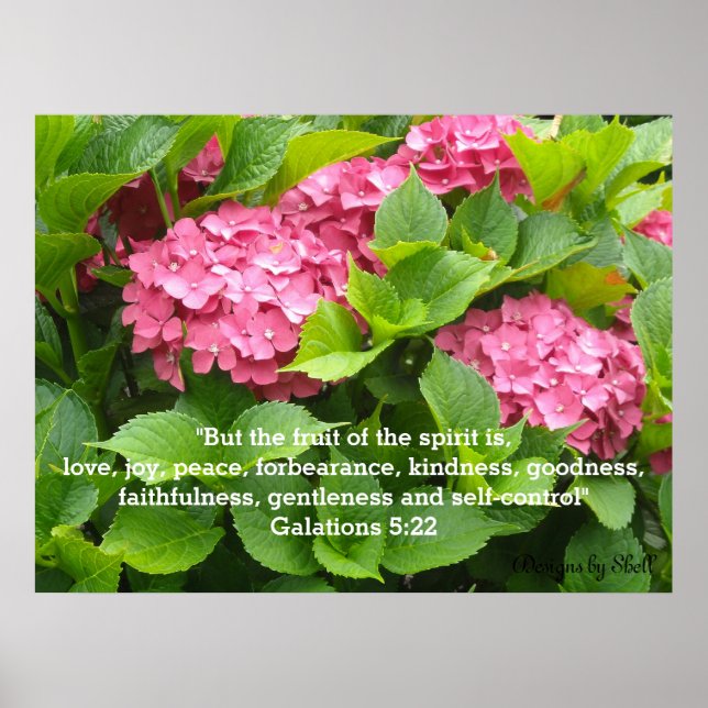 Pink Hydrangeas with Scripture Poster (Front)