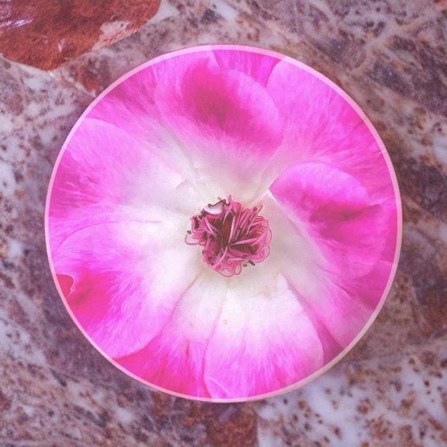 Pink Iceberg Roses Coaster (Creator Uploaded)