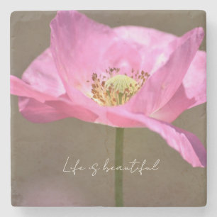 Pink Iceland Poppy Flower (photography by me) Stone Coaster