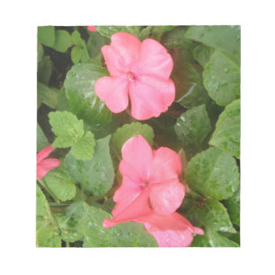 Pink Impatiens Flowers Notepad