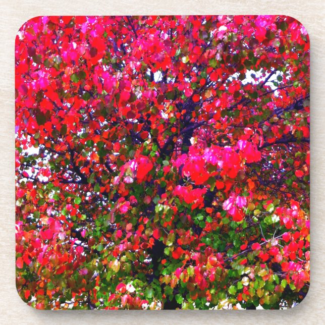 Pink impressionistic Autumn Leaves trees Coaster (Front)