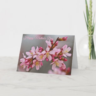 Pink in A Grey Sky Mother's Day Cherry Blossoms Card
