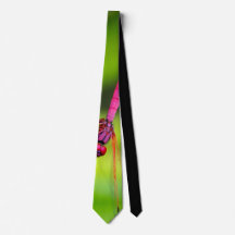 Pink insect tie