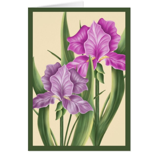 Pink Iris (Front)