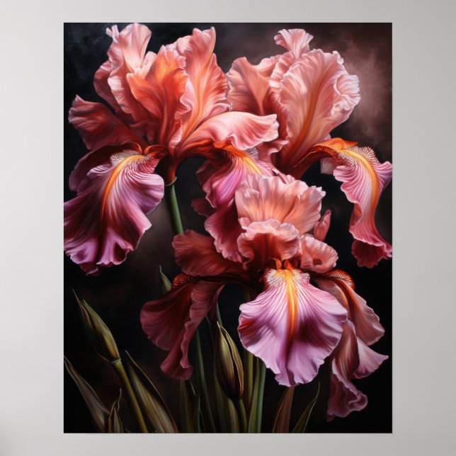 Pink Iris Flowers Art Print Poster (Front)