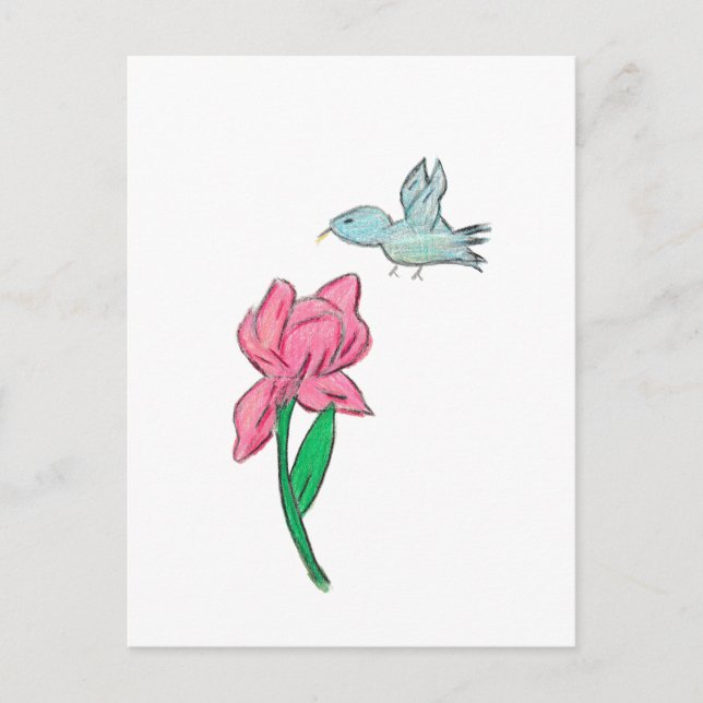 Pink Iris  Postcard (Front)