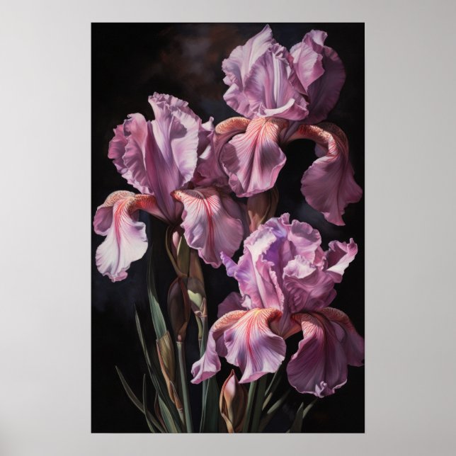 Pink Irises Flower Art Print Poster (Front)
