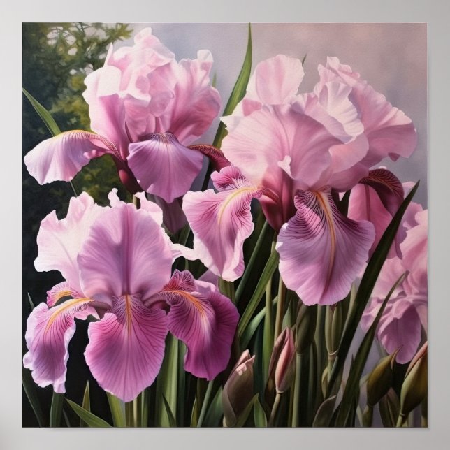 Pink Irises Flower Art Print Poster (Front)