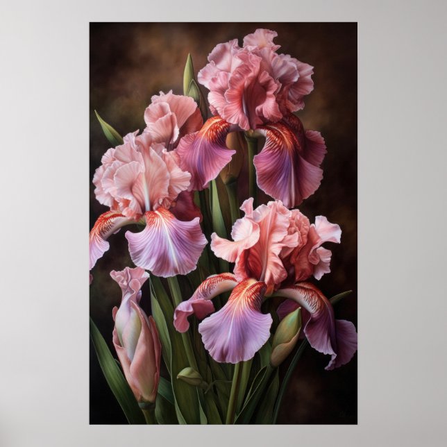 Pink Irises Flower Art Print Poster  (Front)