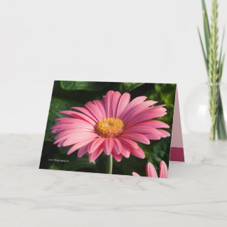 Pink is for Love Card