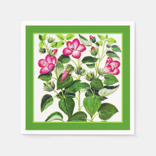 Pink Italian Hibiscus flowers, vintage print Napkin