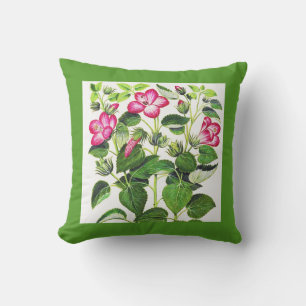 Pink Italian Hibiscus flowers, vintage print Outdoor Cushion