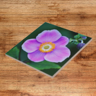 Pink Japanese Anemone Floral Ceramic Tile