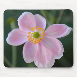Pink japanese anemone flower mouse pad